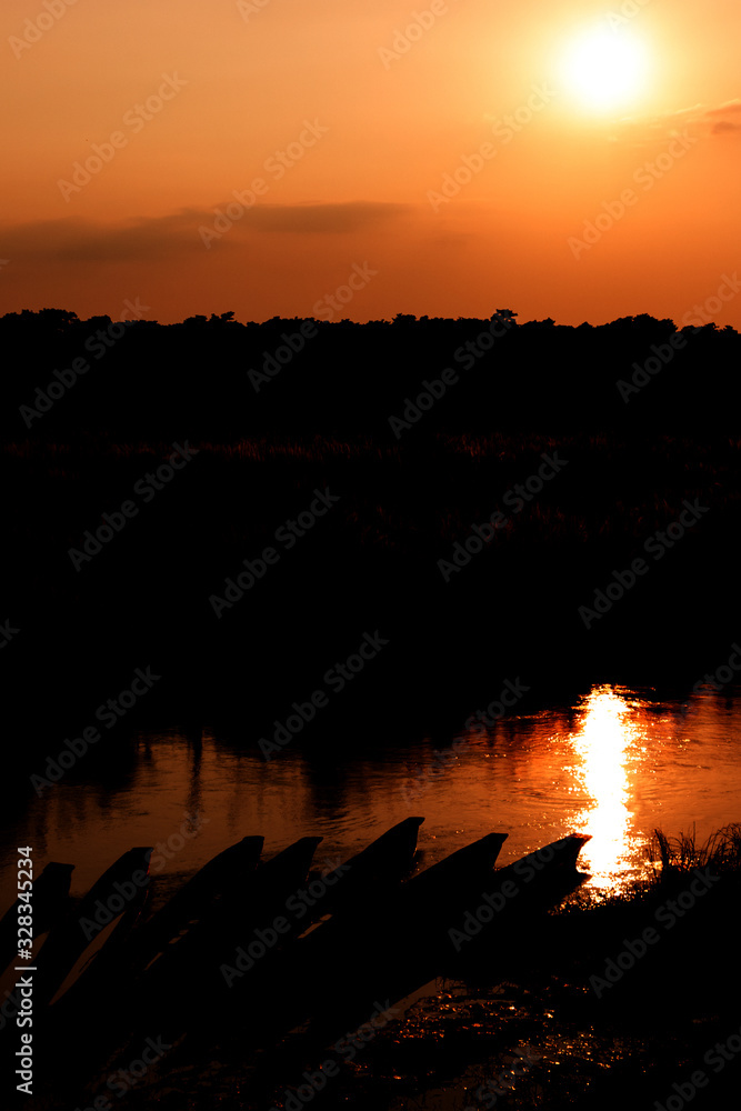 Obraz premium orange sunset in the jungle, dark tones made as a photo idea