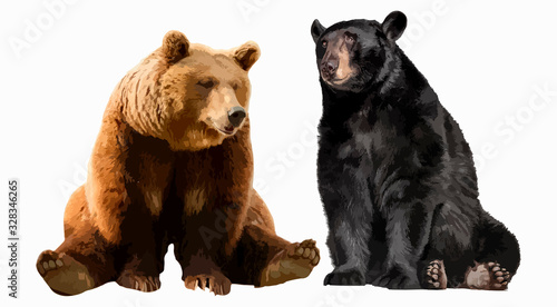 Power and strength in furry and cute bears