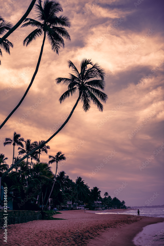 Obraz premium silhouette of palm trees on the sandy shore of the Indian Ocean with beautiful clouds on the sky sunset or unrise