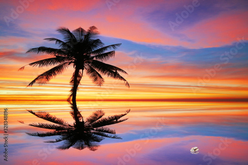 reflection flame red orange yellow sky silhouette and in sunset and coconut tree