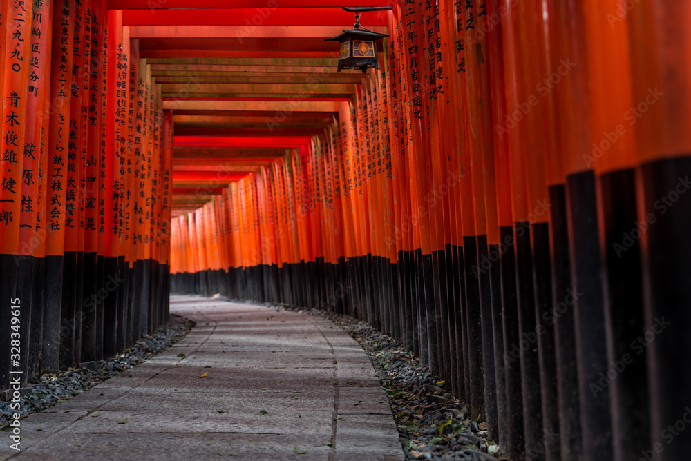 Fototapeta premium Red Torii of Fushimi Inari Shrine, Kyoto, Japan