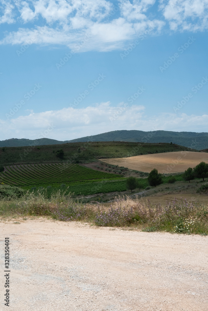Fototapeta premium landscape with mountains and blue sky