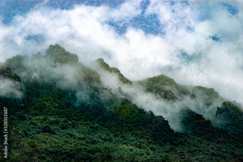 Foothills of Andes Mountains, shrouded in clouds, near Papallacta, Ecuador. The forests here get moisture both from rain and that provided by the clouds.