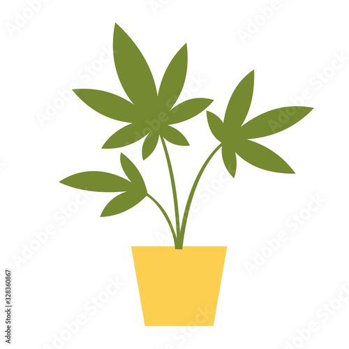 Vector illustration of cannabis plant in a pot