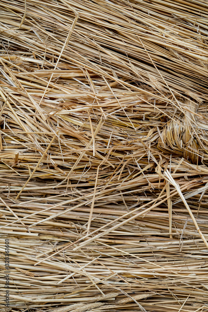 Wall of an ancient country house insulated with straw. Wall of an ancient country house insulated with straw.