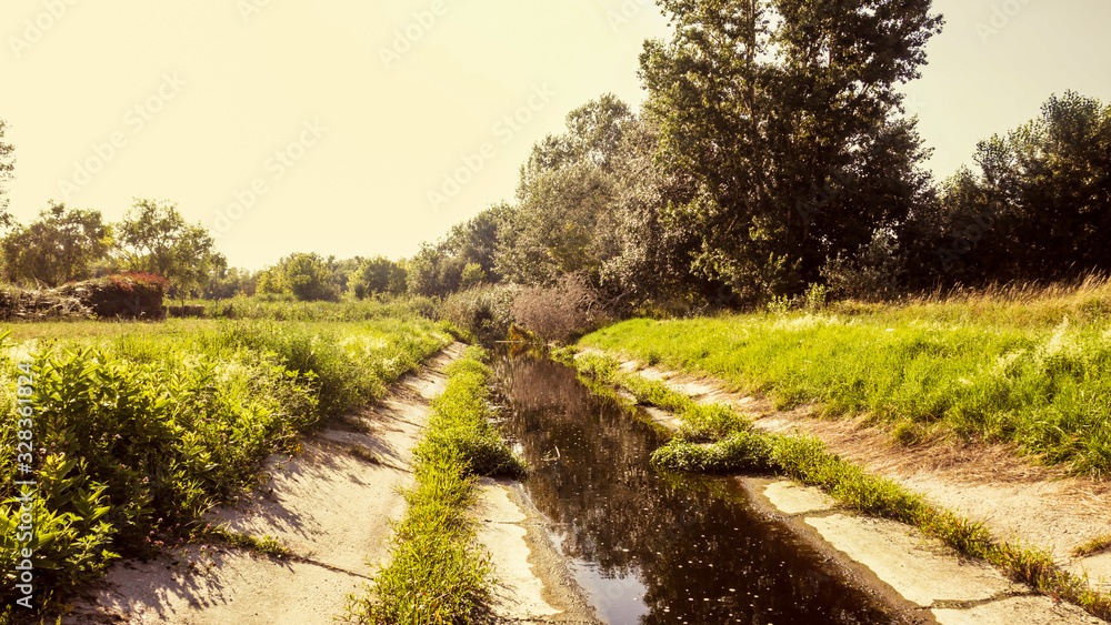 Overgrown Canal Next to Trees and Meadow Overgrown Canal Next to Trees and Meadow