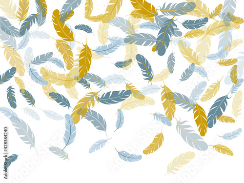 Detailed majestic feather on white design.