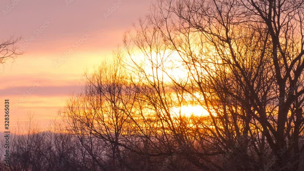 beautiful sunset on a background of winter trees time-lapse beautiful sunset on a background of winter trees time-lapse