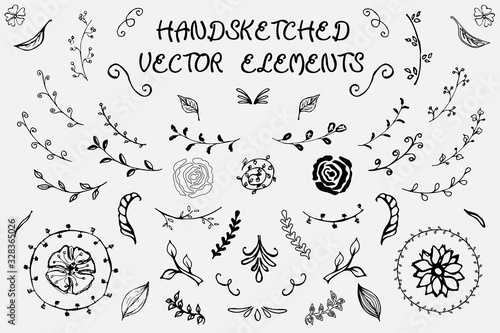 Hand-drawn vector elements. Spring elements. Flowers, branches with leaves and other natural patterns. Vector eps illustration.