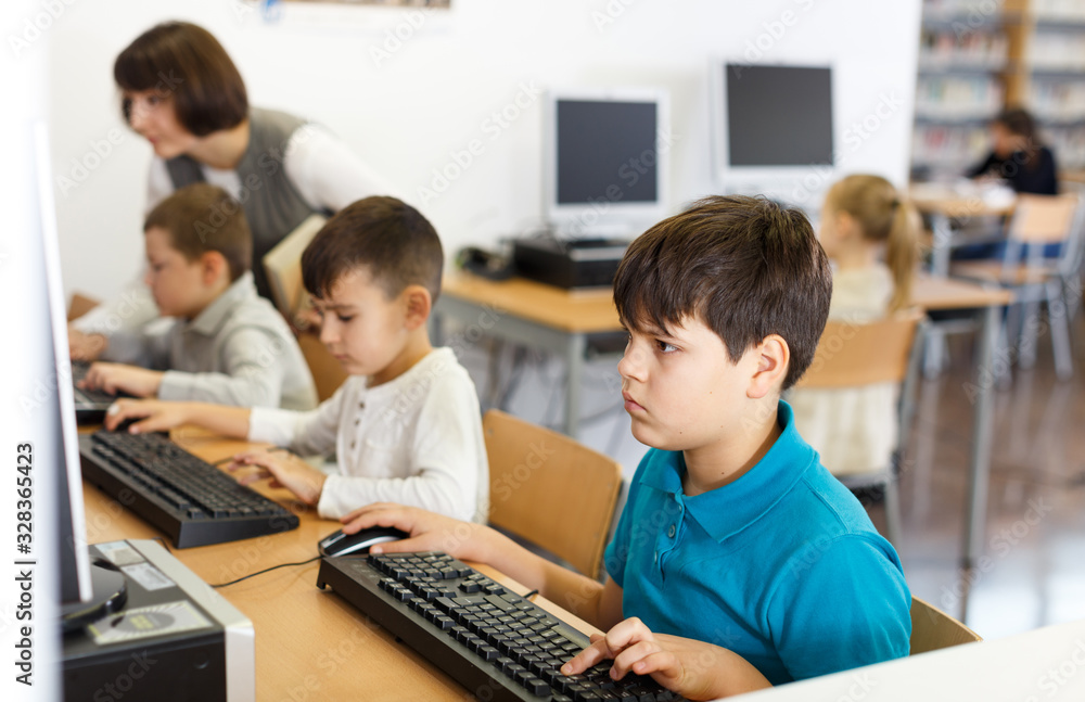 Fototapeta premium Boy studying in computer class