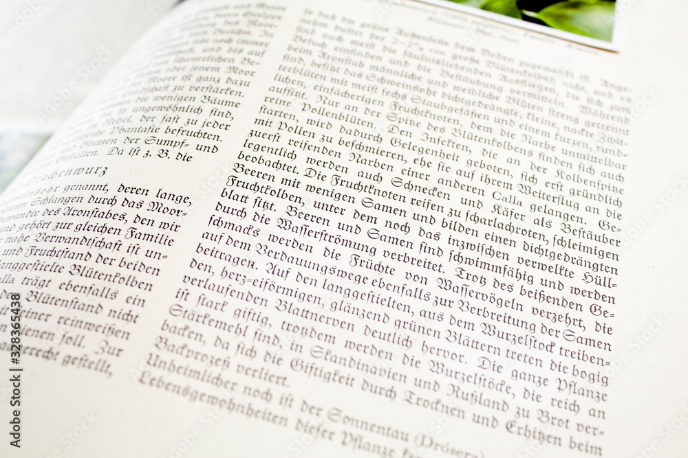 Obraz premium Nahaufnahme eines Buches mit altdeutscher Schrift