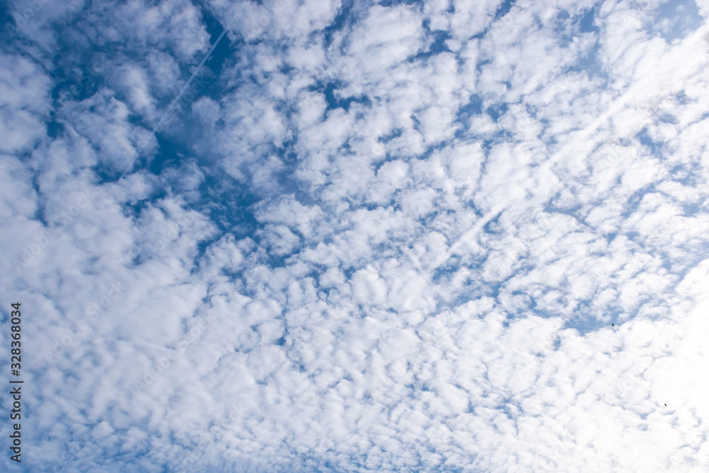 The wide angle shot of the bright blue sky covered by white cirrocumulus clouds The wide angle shot of the bright blue sky covered by white cirrocumulus clouds