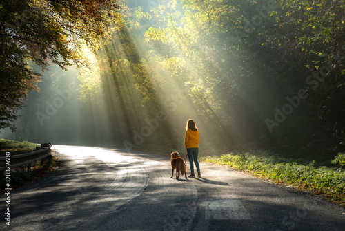 women with a dog together. sun light on the road. girl and a red toller retriever on a walk.