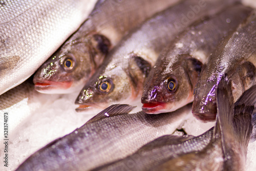 Fresh organic Sea bass from Greece for sale in the UK photo