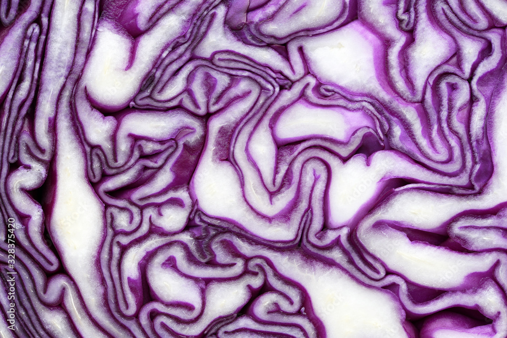 Macro red cabbage detail in violet-white colors, background texture. Macro red cabbage detail in violet-white colors, background texture.