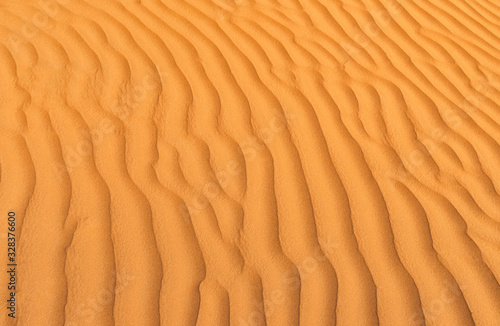 Background of th Red Sand Dunes in Wahiba Sands Desert.