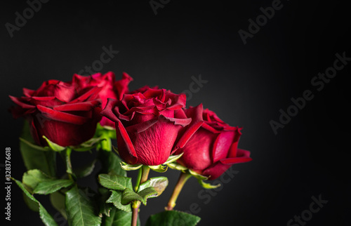 Beautiful bouquet of red roses on a black background. Copy space. Close-up.