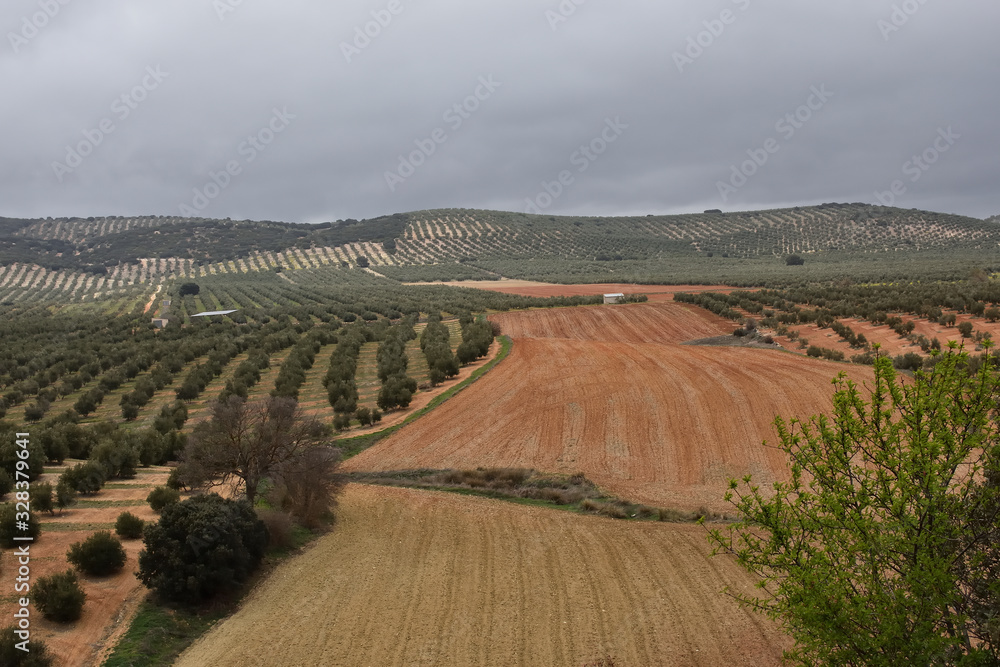 Black clouds loom over the olive grove in Andalusia