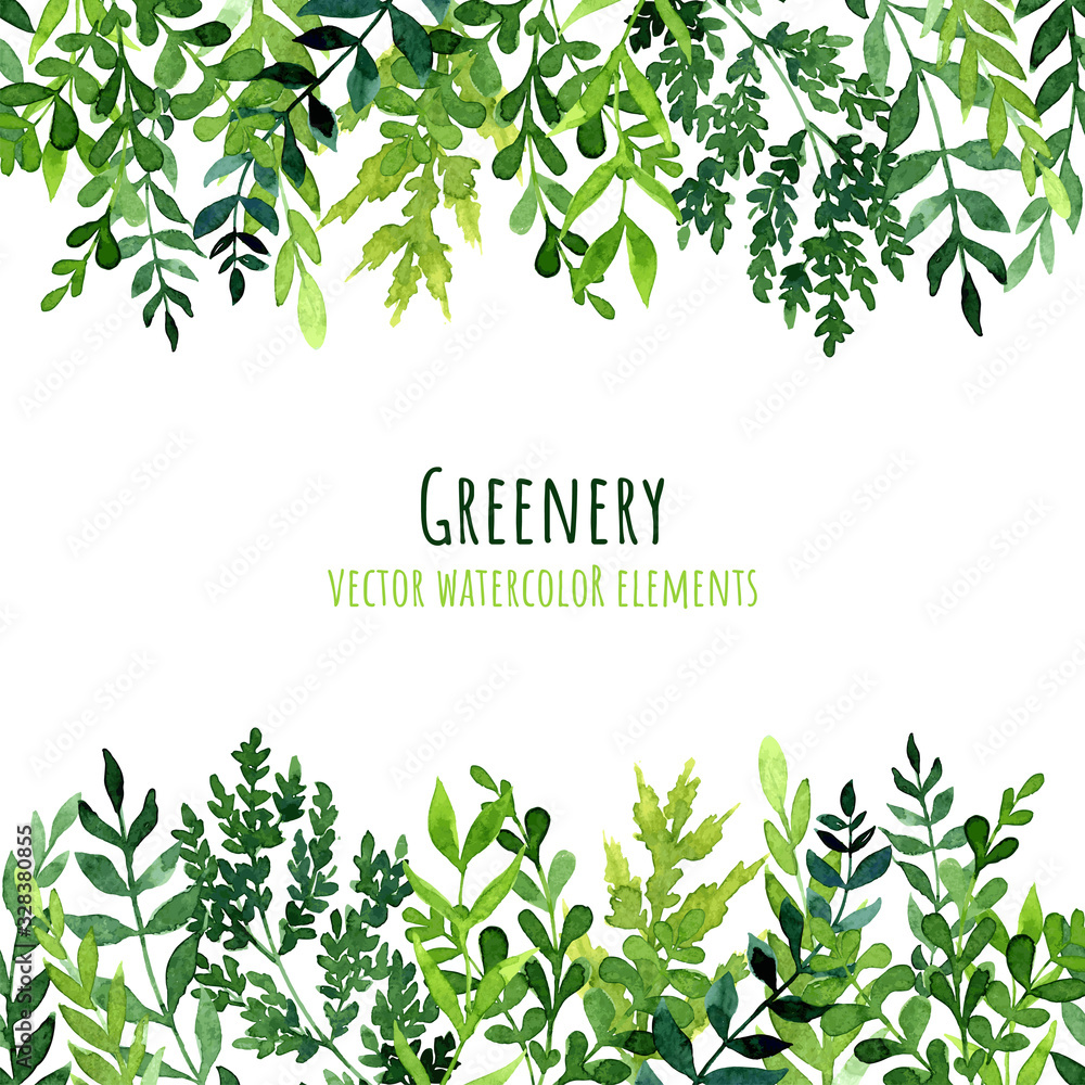 Greenery seamless borders, watercolor leaves and branches