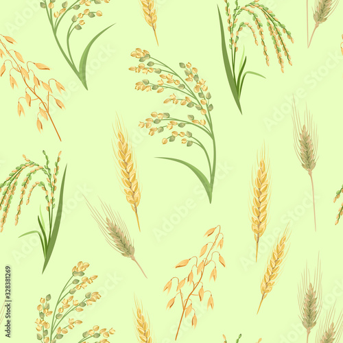 Cereal Plants seamless pattern on green background. Spikelets of Wheat, Oats, Rye, Proso Millet and Rice isolated. Vector illustration of crop in cartoon simple flat style.