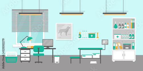Vet doctor's consultation room.