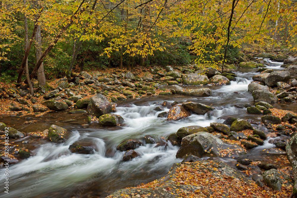 Autumn landscape of Big Creek captured with motion blur, Great Smoky Mountains National Park, Tennessee, USA