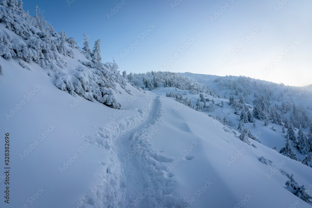 Mountain trail in the snow. Western Tatras. Poland.