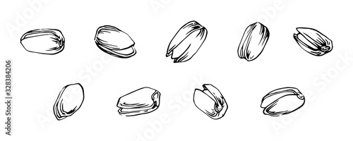 Hand drawn pistachios set, ink drawing sketch vector illustration, black isolated illustration on white background.