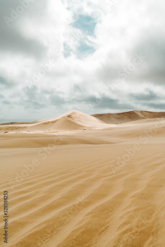 Giant sand dunes