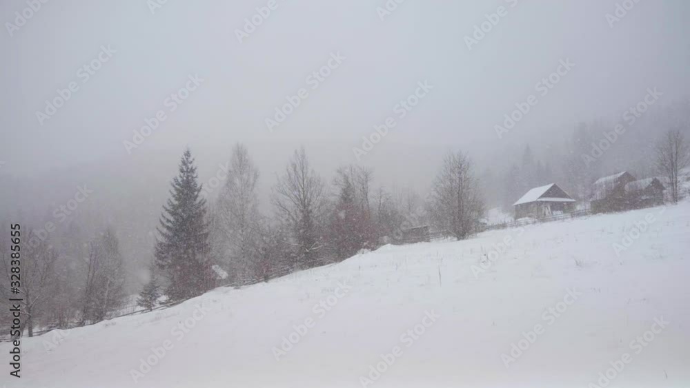 Snowy winter trees. Snowy forest on winter time, snow storm. Trees branches covered with snow. Winter background Snowy winter trees. Snowy forest on winter time, snow storm. Trees branches covered with snow. Winter background