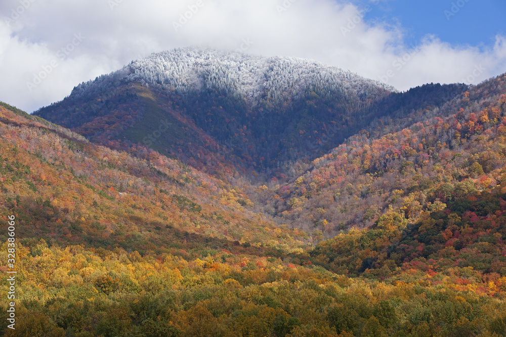 Autumn landscape of snow flocked Mount Le Conte, Great Smoky Mountains National Park, Tennessee, USA Autumn landscape of snow flocked Mount Le Conte, Great Smoky Mountains National Park, Tennessee, USA