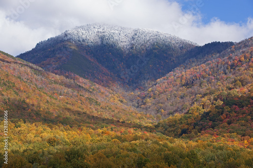 Autumn landscape of snow flocked Mount Le Conte, Great Smoky Mountains National Park, Tennessee, USA