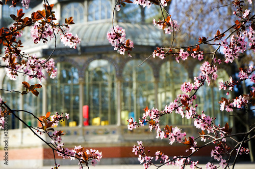 Primavera 006