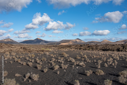 Volcanic landscape of Timanfaya National Park on island Lanzarote, Canary Islands.