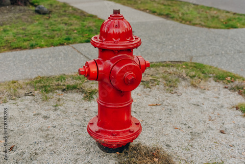 Fotografija Red hydrant fire detail prevention system with green out of focus wood in backgr