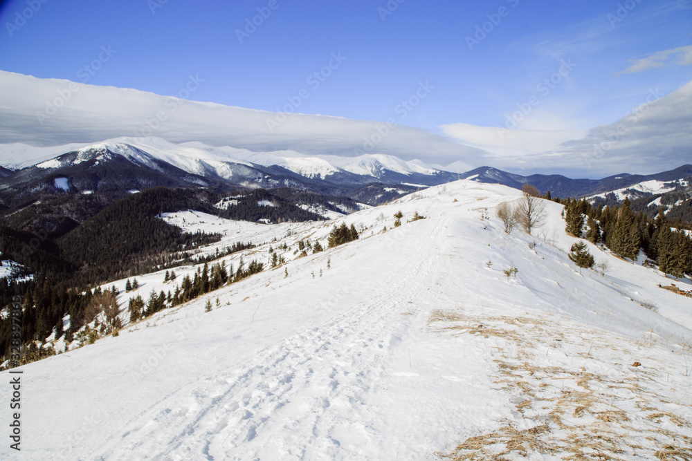 Walking near strong place Vuhatiy Kamin in the higest mountain village Dzembronya