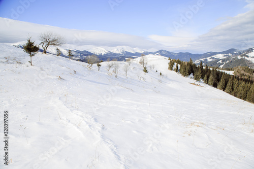 Walking near strong place Vuhatiy Kamin in the higest mountain village Dzembronya