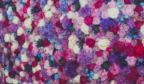 Beautiful wall made of red violet purple flowers, roses, tulips, press-wall, background, valentines day background © tsuguliev