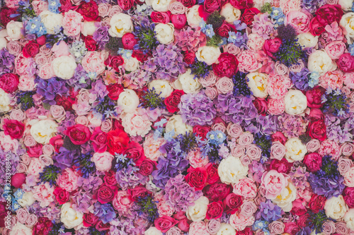 Beautiful wall made of red violet purple flowers, roses, tulips, press-wall, background, valentines day background