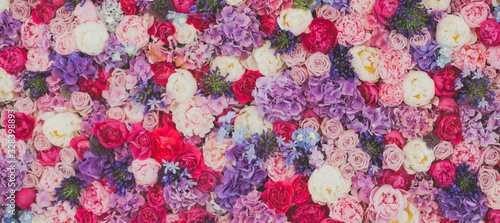 Beautiful wall made of red violet purple flowers, roses, tulips, press-wall, background, valentines day background © tsuguliev