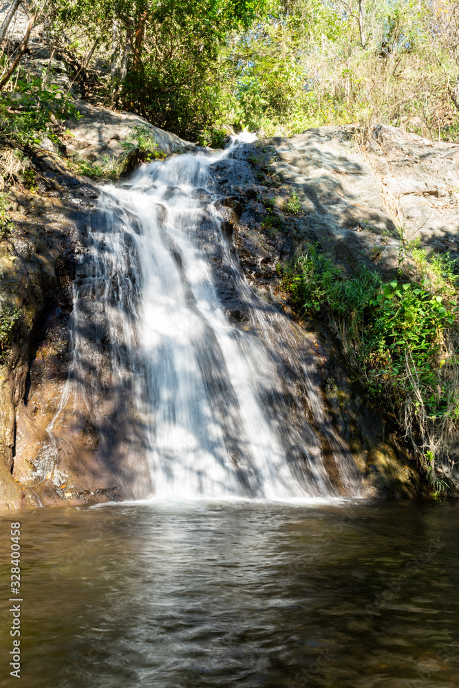 Fototapeta premium Cydr