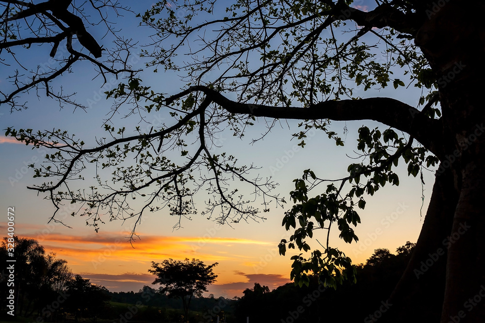 Por do Sol IMG_1151A