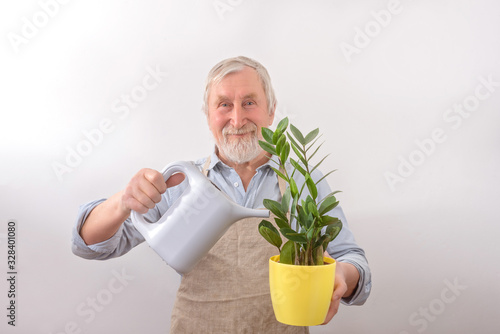 Senior gardener is watered to plant in flowerpot