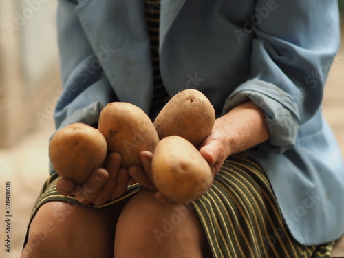An elderly woman sells potatoes at the market.   An elderly woman holds an agro-potato in her hands photo