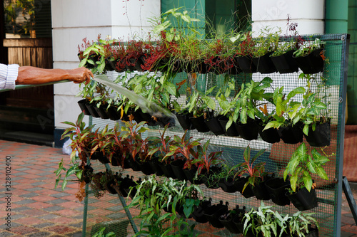 Growbox. Installation for growing plants in artificial conditions. Hydroponics. photo