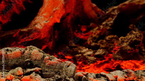 A Depiction of Fire and Fury, Showing a Tree Bark Horizontal Foreground Shelf with Texture to the Warts of the Trunk, on a Blurred Burning Wood Background.