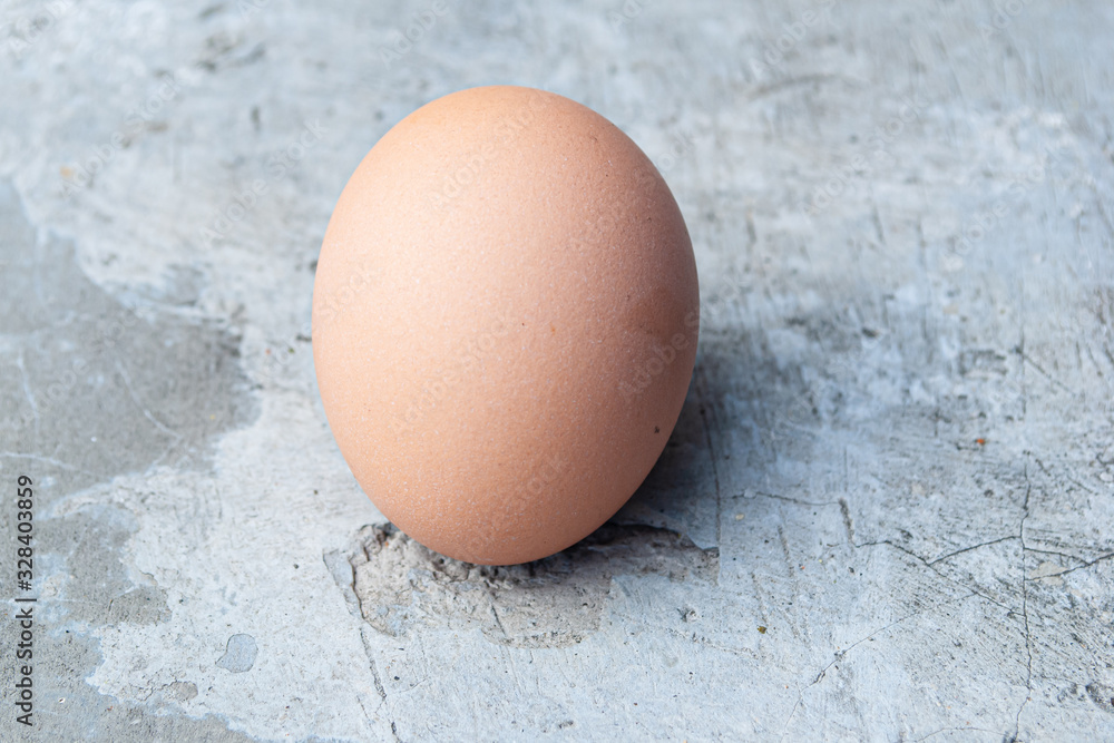 Close up of single chicken egg in the backyard Close up of single chicken egg in the backyard