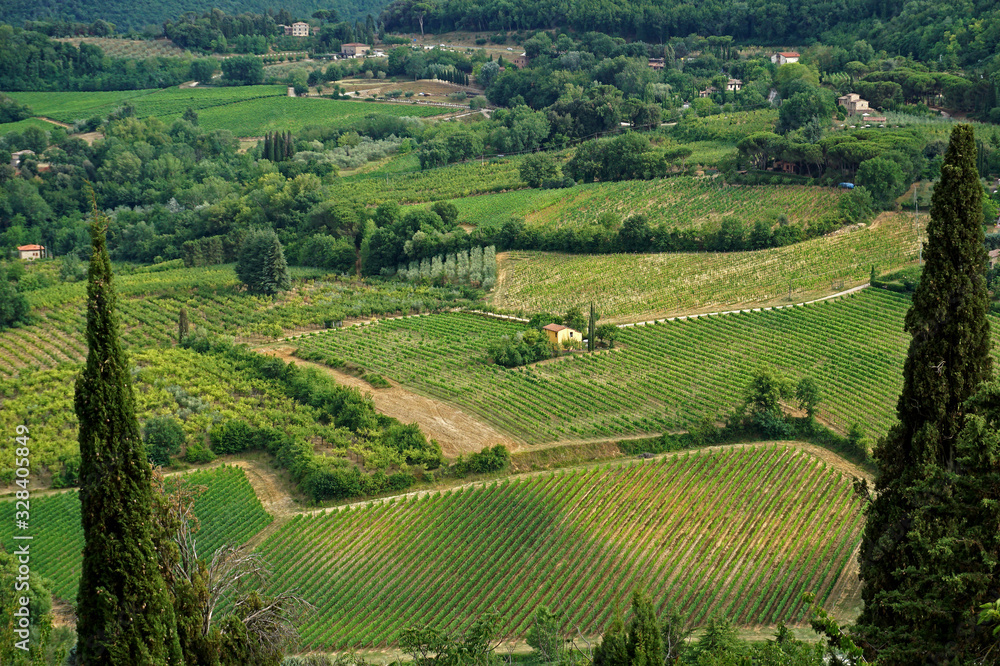 Vineyards in the Tuscany region of Italy near Montepulciano.