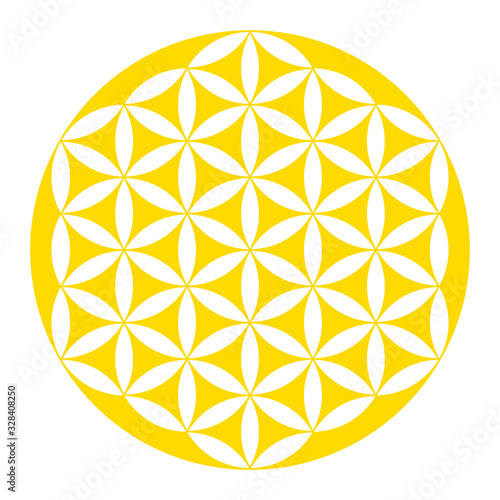 Inverted golden Flower of Life. Geometrical figure, spiritual symbol and Sacred Geometry. Overlapping circles forming a flower like pattern with symmetrical structure. Illustration over white. Vector.