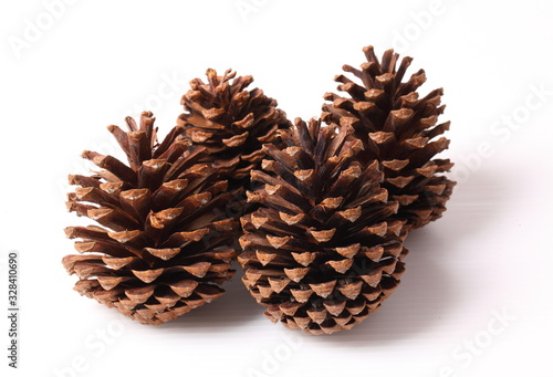 Flowers of pine on white background